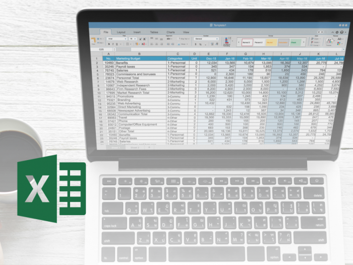 Microsoft Office Excel - Zdruzevanje podatkov 