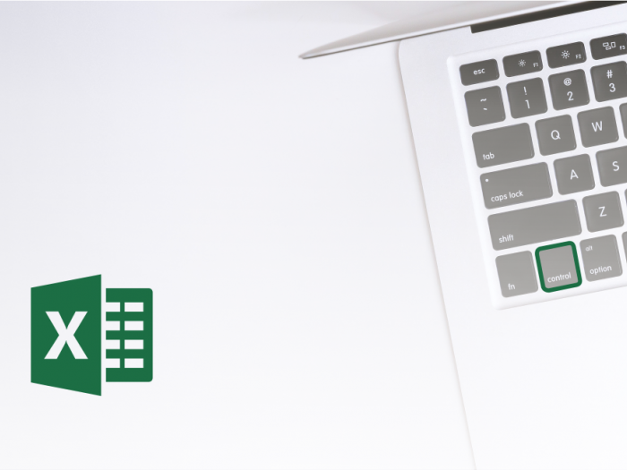 Microsoft Office Excel - Uporaba CTRL in smernih tipk